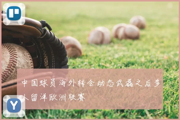中国球员海外转会动态武磊之后多人留洋欧洲联赛