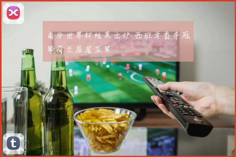 南非世界杯结果出炉 西班牙首夺冠军荷兰屈居亚军