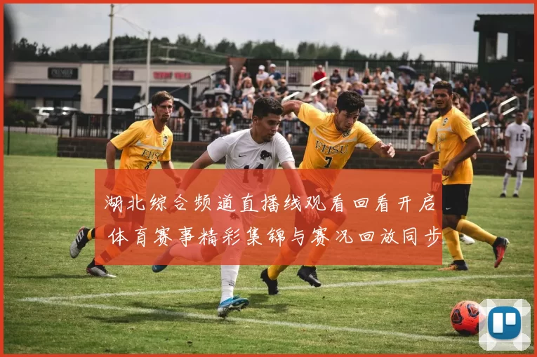 湖北综合频道直播线观看回看开启 体育赛事精彩集锦与赛况回放同步上线