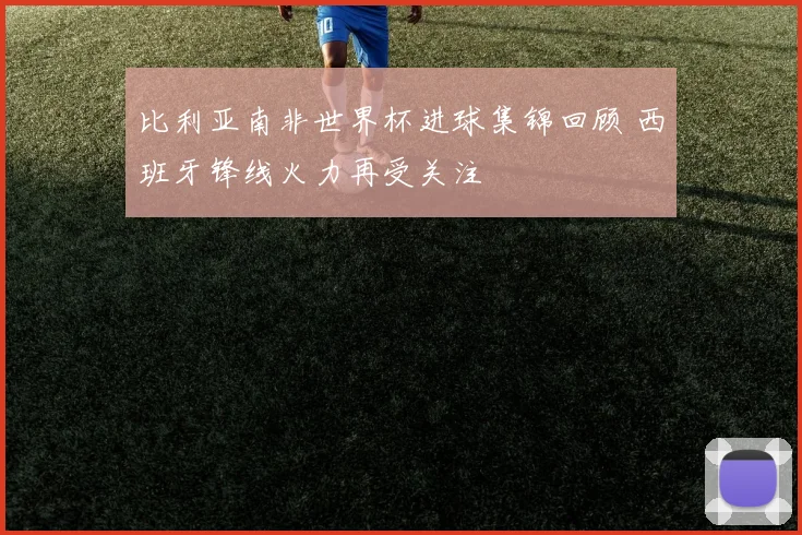 比利亚南非世界杯进球集锦回顾 西班牙锋线火力再受关注