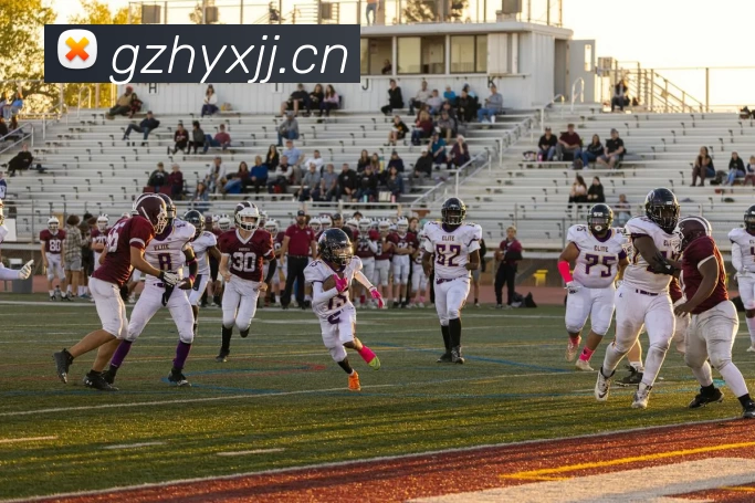 App Interface Preview